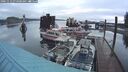 ./images/quadra/hbidock/20241112/hbidock20241112_073501M.jpg