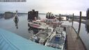 ./images/quadra/hbidock/20241112/hbidock20241112_080002M.jpg