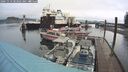 ./images/quadra/hbidock/20241112/hbidock20241112_083501M.jpg
