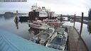 ./images/quadra/hbidock/20241112/hbidock20241112_085000M.jpg
