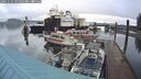 ./images/quadra/hbidock/20241112/hbidock20241112_091002M.jpg