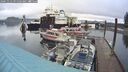 ./images/quadra/hbidock/20241112/hbidock20241112_091502M.jpg