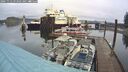 ./images/quadra/hbidock/20241112/hbidock20241112_093501M.jpg