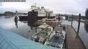 ./images/quadra/hbidock/20241112/hbidock20241112_094502M.jpg