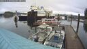 ./images/quadra/hbidock/20241112/hbidock20241112_095002M.jpg
