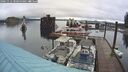 ./images/quadra/hbidock/20241112/hbidock20241112_100500M.jpg