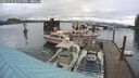 ./images/quadra/hbidock/20241112/hbidock20241112_122000M.jpg