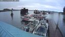 ./images/quadra/hbidock/20241113/hbidock20241113_074000M.jpg