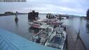./images/quadra/hbidock/20241113/hbidock20241113_074002M.jpg