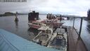 ./images/quadra/hbidock/20241113/hbidock20241113_080000M.jpg