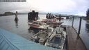 ./images/quadra/hbidock/20241113/hbidock20241113_080500M.jpg