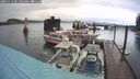 ./images/quadra/hbidock/20241113/hbidock20241113_081502M.jpg