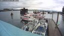 ./images/quadra/hbidock/20241113/hbidock20241113_092002M.jpg