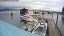 ./images/quadra/hbidock/20241113/hbidock20241113_092502M.jpg