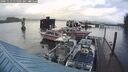./images/quadra/hbidock/20241113/hbidock20241113_115001M.jpg