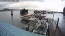 ./images/quadra/hbidock/20241113/hbidock20241113_123001M.jpg