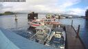 ./images/quadra/hbidock/20241113/hbidock20241113_125002M.jpg