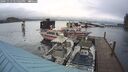 ./images/quadra/hbidock/20241113/hbidock20241113_145002M.jpg