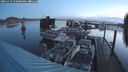 ./images/quadra/hbidock/20241114/hbidock20241114_070500M.jpg