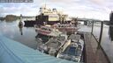 ./images/quadra/hbidock/20241114/hbidock20241114_090003M.jpg