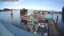 ./images/quadra/hbidock/20241114/hbidock20241114_123501M.jpg