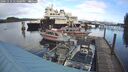 ./images/quadra/hbidock/20241114/hbidock20241114_131000M.jpg