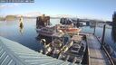 ./images/quadra/hbidock/20241115/hbidock20241115_092000M.jpg