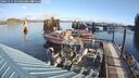 ./images/quadra/hbidock/20241115/hbidock20241115_093001M.jpg