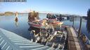 ./images/quadra/hbidock/20241115/hbidock20241115_093502M.jpg
