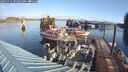 ./images/quadra/hbidock/20241115/hbidock20241115_094002M.jpg