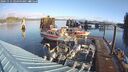 ./images/quadra/hbidock/20241115/hbidock20241115_094500M.jpg