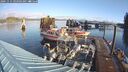 ./images/quadra/hbidock/20241115/hbidock20241115_094502M.jpg