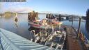 ./images/quadra/hbidock/20241115/hbidock20241115_095001M.jpg