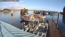 ./images/quadra/hbidock/20241115/hbidock20241115_095502M.jpg