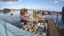 ./images/quadra/hbidock/20241115/hbidock20241115_103500M.jpg