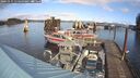 ./images/quadra/hbidock/20241115/hbidock20241115_114500M.jpg