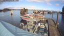 ./images/quadra/hbidock/20241115/hbidock20241115_114502M.jpg