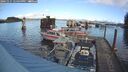 ./images/quadra/hbidock/20241115/hbidock20241115_124500M.jpg
