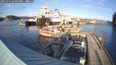 ./images/quadra/hbidock/20241115/hbidock20241115_145000M.jpg