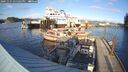 ./images/quadra/hbidock/20241115/hbidock20241115_145002M.jpg