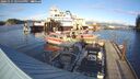 ./images/quadra/hbidock/20241115/hbidock20241115_145500M.jpg