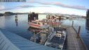 ./images/quadra/hbidock/20241115/hbidock20241115_153002M.jpg