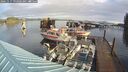 ./images/quadra/hbidock/20241117/hbidock20241117_092502M.jpg