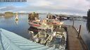 ./images/quadra/hbidock/20241117/hbidock20241117_095500M.jpg