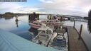 ./images/quadra/hbidock/20241117/hbidock20241117_102502M.jpg