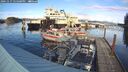 ./images/quadra/hbidock/20241117/hbidock20241117_145000M.jpg