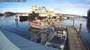 ./images/quadra/hbidock/20241117/hbidock20241117_145002M.jpg