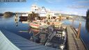 ./images/quadra/hbidock/20241117/hbidock20241117_145502M.jpg