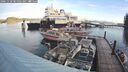 ./images/quadra/hbidock/20241118/hbidock20241118_085002M.jpg