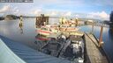 ./images/quadra/hbidock/20241118/hbidock20241118_142000M.jpg